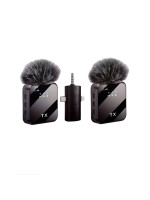 F11-2 Wireless Microphone, Dual Channel 