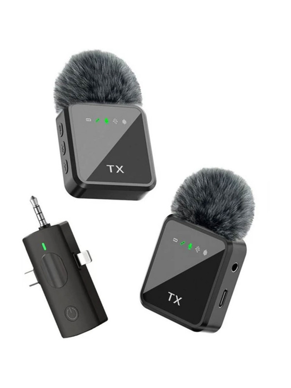 F11-2 Wireless Microphone, Dual Channel 
