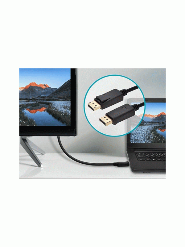 DisplayPort to DisplayPort 1.2 Cable – 3m, 4K - 60Hz
