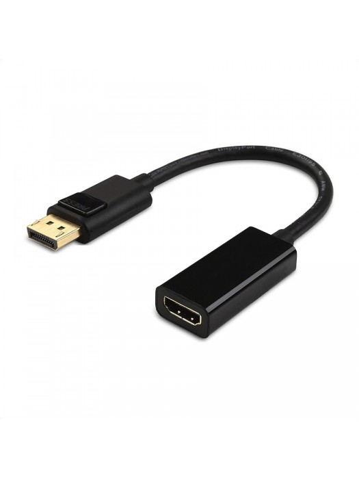 DisplayPort to HDMI Converter Cable