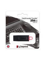 Kingston DataTraveler Exodia 256GB USB 3.2 Flash Drive