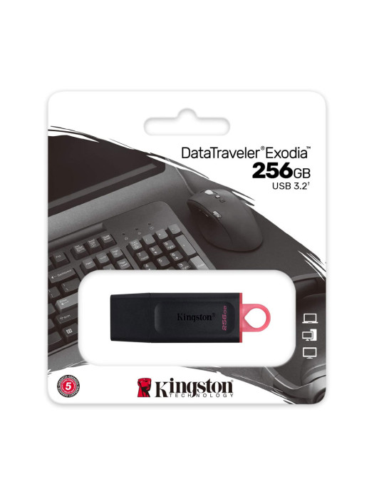 Kingston DataTraveler Exodia 256GB USB 3.2 Flash Drive