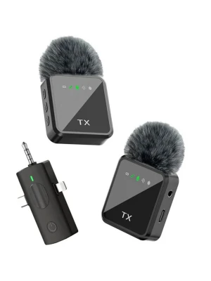 F11-2 Wireless Microphone, Dual Channel 