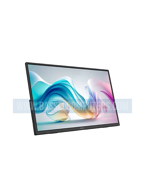 MSI PRO MP165 E6 15.6" FHD IPS Portable Monitor | Ultra Slim Business Screen