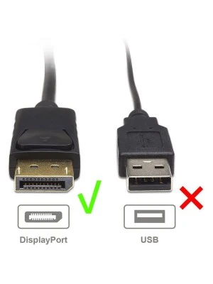 DisplayPort to HDMI Converter Cable