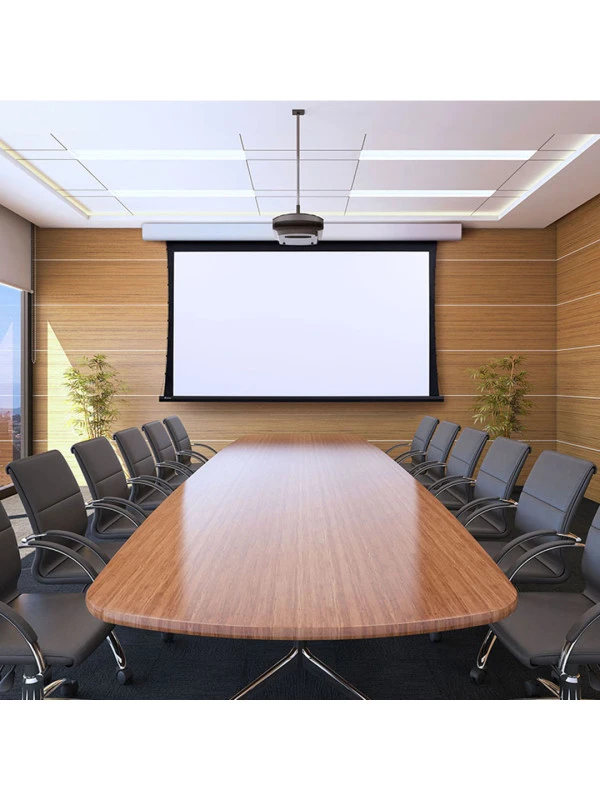 PORTABLE PROJECTOR SCREEN ELECTRIC 2X2m